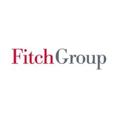 Fitch Group, Inc. logo